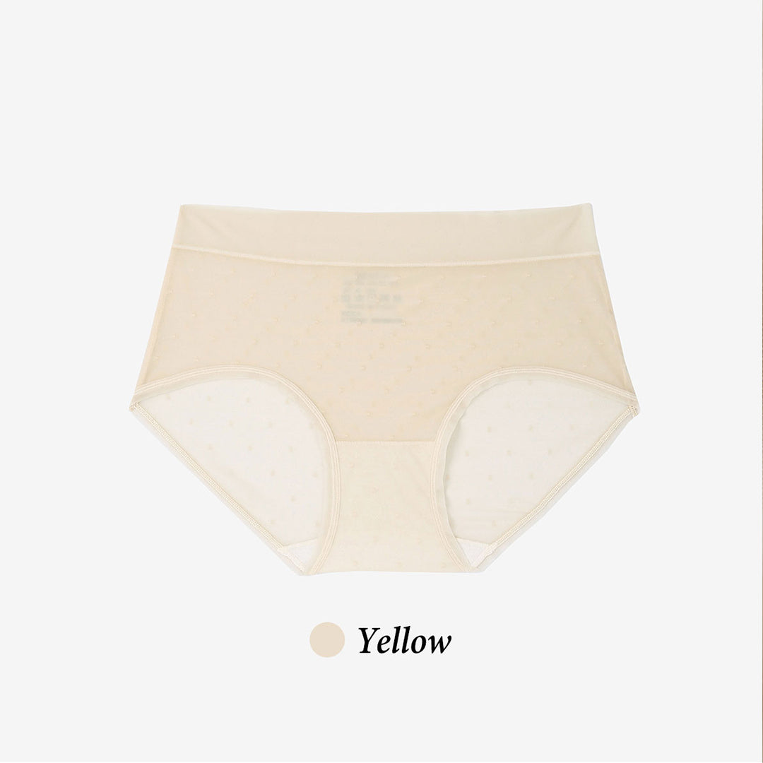 Lomi Sheer Panties