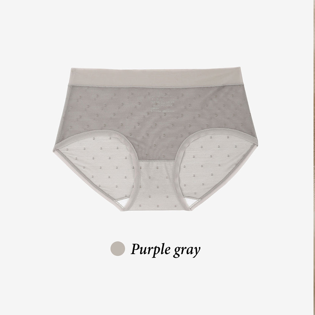 Lomi Sheer Panties